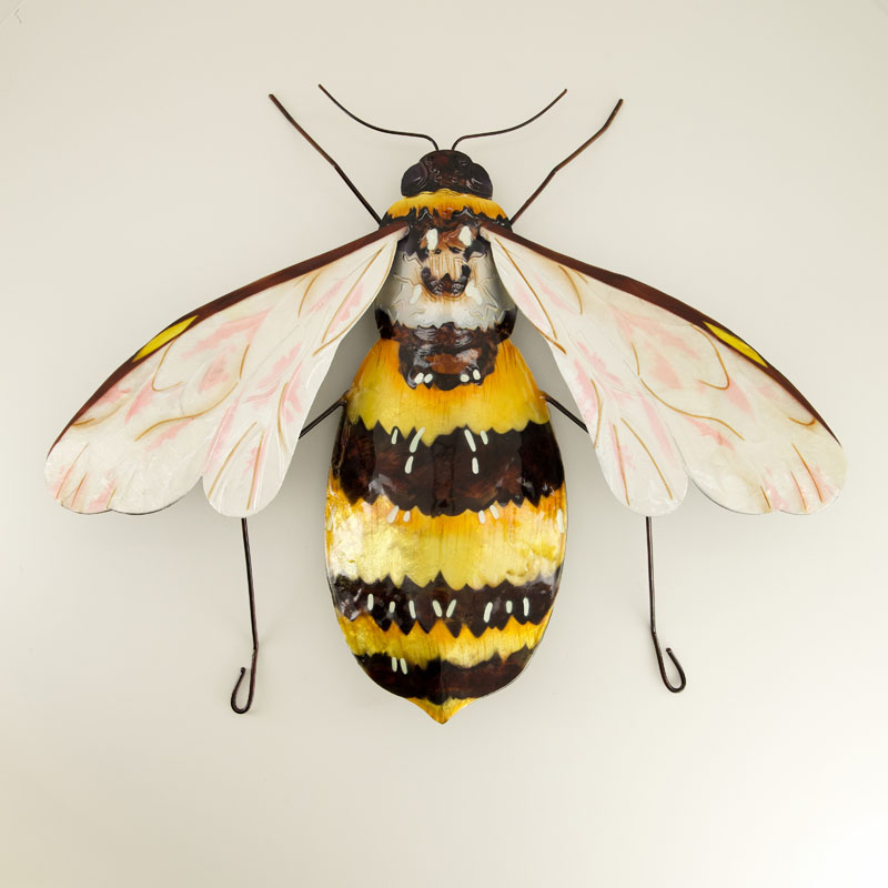 899050-0.jpg