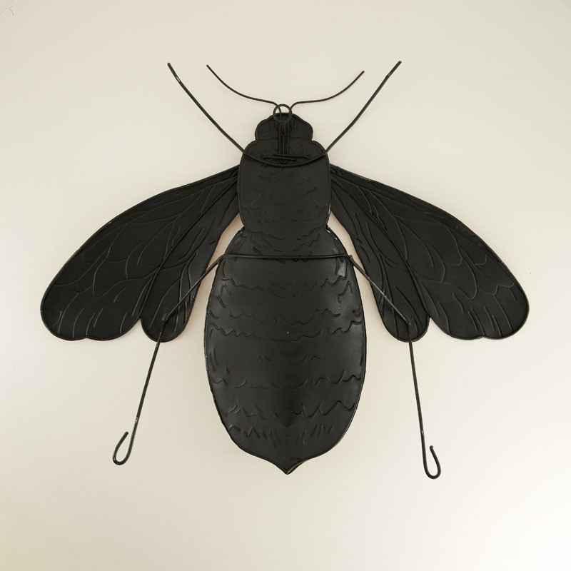 899050-1.jpg
