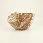Shell Planter