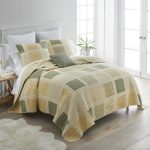 Donna Sharp Meadow 2 Piece Cotton Twin Quilt Set